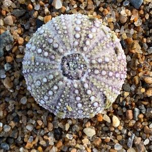 Meet your Posher, Marylee